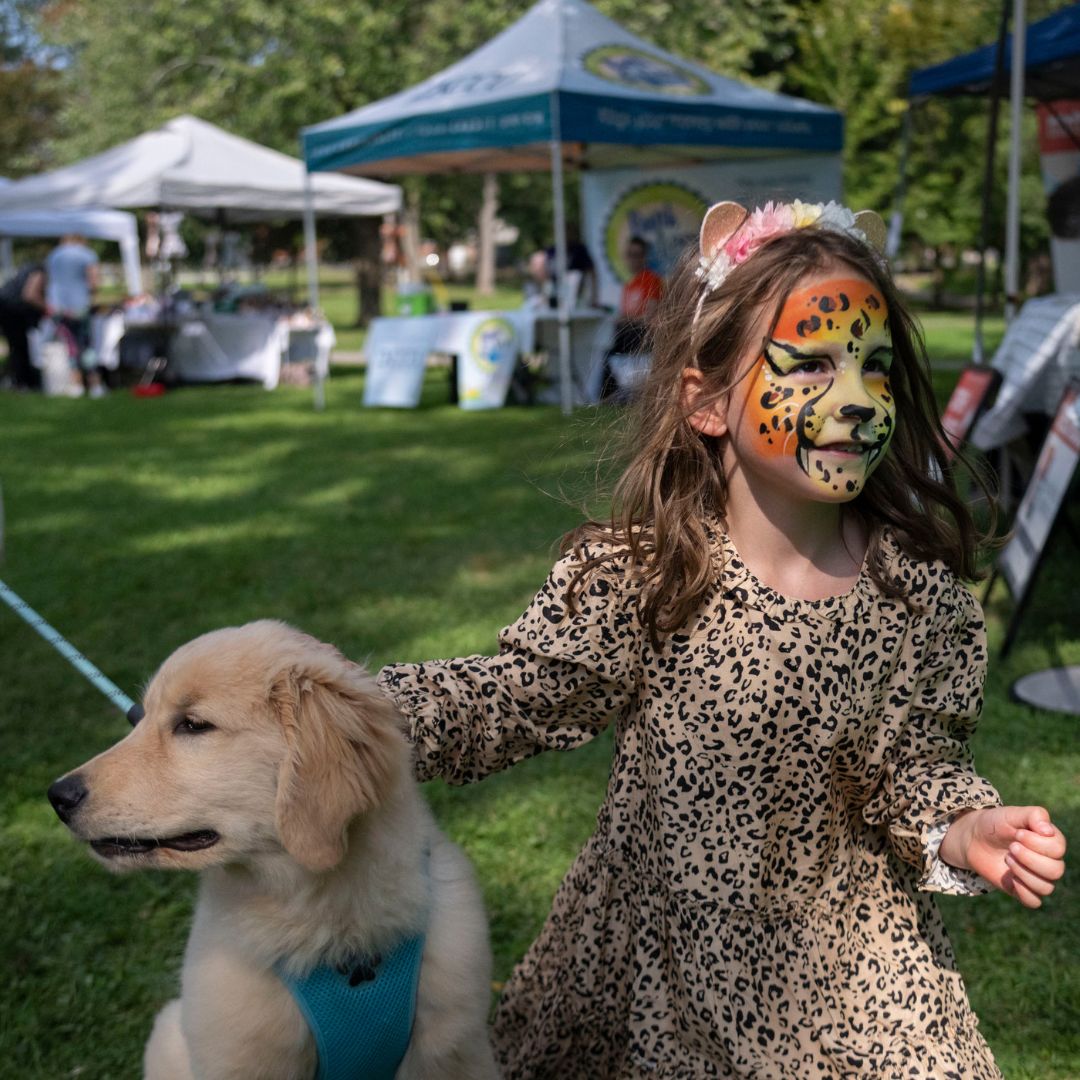 Kingston Humane Society Paws in the Park community event supported by Hulley Collective